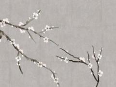 手臂痣代表什么 手掌上有痣好不好