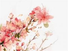 屬兔的人家里掛什么中堂畫(huà),屬兔的掛什么畫(huà)在家里合適