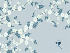 網名英文女生簡單氣質帶符號 網名英文女生簡單氣質2021