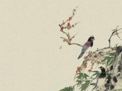 屬鼠的女人和屬兔的男人婚配,屬鼠的女和兔的男在一起對誰不利