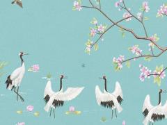 屬兔女找屬什么的婚配好,屬兔女找什么屬相最配對(duì)