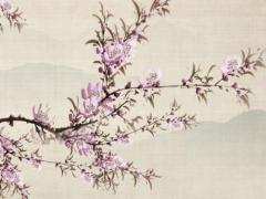 手機號碼測吉兇紫薇科技 手機號碼測測兇吉