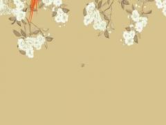 男屬兔配哪個(gè)屬相好,男屬兔跟什么屬相最配對(duì)