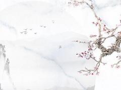 屬雞屬狗家中放什么擺件,屬雞屬狗家里適合擺放什么擺件