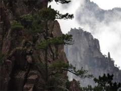 屬蛇男和屬猴女相配嗎,屬蛇男和屬蛇女相配嗎