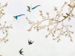 私人別墅庭院應該怎么設計好 私人庭院名字大全別墅