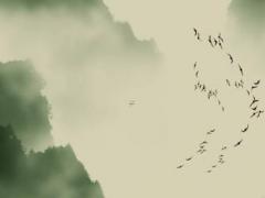 有償八字命理咨詢 八字付費算命