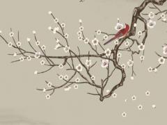 天秤愛上雙魚最痛苦嗎 天秤座愛雙魚