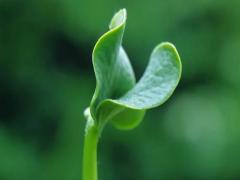 夢(mèng)見送書給別人