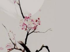 易經怎樣了結不適合的婚姻 易經怎樣化解夫妻感情不和