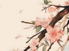 算命的說有牢獄之災(zāi)什么意思呀 算出有牢獄之災(zāi)