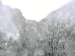 屬蛇男要找什么婚姻 今年屬蛇男婚姻是什么狀況