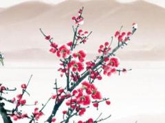 什么八字的人精神會(huì)有問題 八字帶有精神病能化解嗎