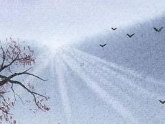 創意且幽默的微信名 風趣幽默的微信名字