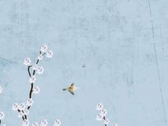 1998年的虎是百年難遇 屬虎人跟誰一起最窮