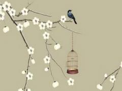 65歲屬兔壽命 1963年屬兔多少歲壽終