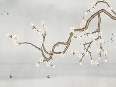 名字測試打分免費 周易起名網(wǎng)唯一官網(wǎng)免費