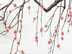 算生辰八字合不合 算生辰八字合不合的