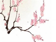 2000年屬龍的女孩,2000年屬龍五行缺什么