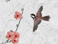 屬猴屬蛇客廳掛什么十字繡,屬蛇人帶猴子掛件