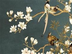 你為什么喜歡鄧倫呢英語 為什么這么多人喜歡鄧倫