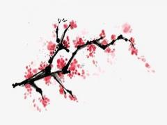 屬馬的最合的三個生肖 屬馬最和的生肖