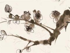 03年和98年差幾歲 2003年和1998年合得來嗎