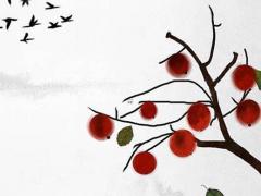 叫算命的叫什么意思是什么意思 叫算命的怎么稱呼