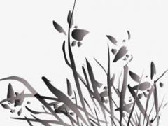 屬虎打牌帶什么好 屬虎人打牌的吉利方位