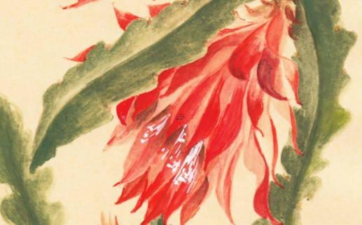 甲木身強(qiáng)2023癸卯年運(yùn)勢(shì)怎么樣，甲木命遇癸卯年