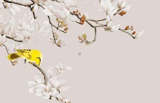 八字雙女雙魚什么意思 雙八字的命運怎樣 八字雙女雙魚什么意思 雙八字的命運怎樣