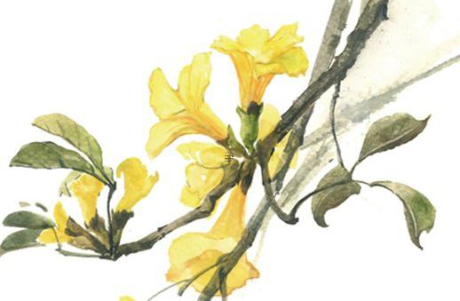 生辰八字起名為您的事業推波助瀾 生辰八字起名取名專用大全 生辰八字起名為您的事業推波助瀾 生辰八字起名取名專用大全