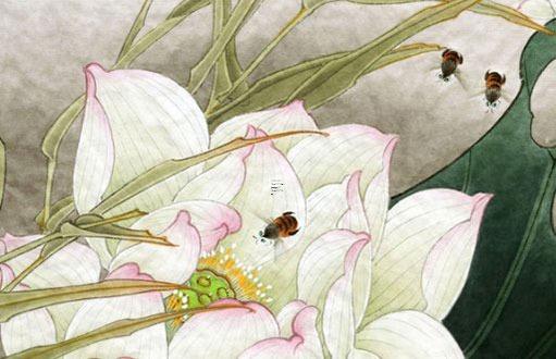 1967年屬羊2023年運勢十二生肖網，1967年屬羊女2023年運勢