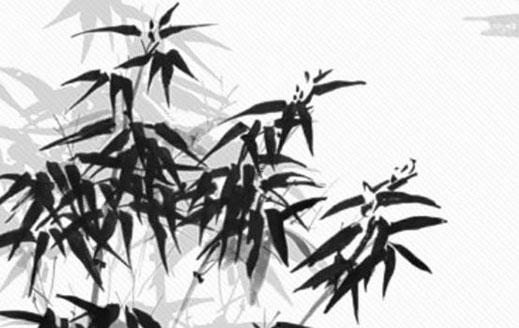 午馬年五行屬什么 午馬的五行屬什么 午馬年五行屬什么 午馬的五行屬什么