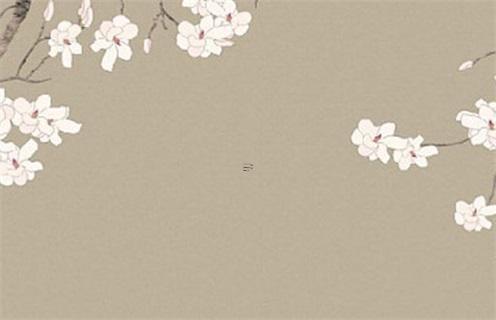 什么女八字太重情義 什么八字的人重情