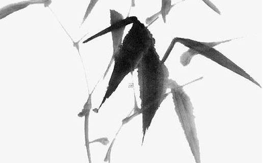 同里古鎮旅游攻略一日游 同里古鎮一日游路線 同里古鎮旅游攻略一日游 同里古鎮一日游路線