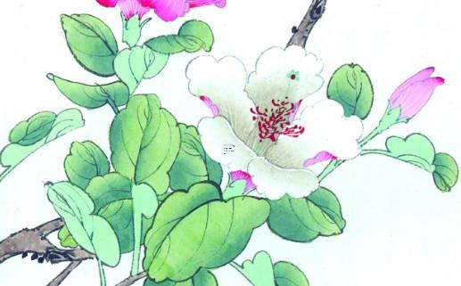 老公屬馬老婆屬牛很恩愛 90年馬和97年牛合婚嗎 老公屬馬老婆屬牛很恩愛 90年馬和97年牛合婚嗎