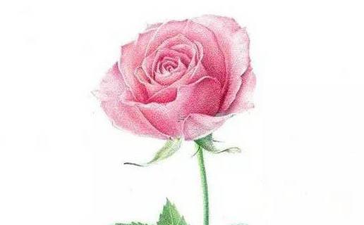 2020年“未時”出生的女孩名字大全 未時女寶寶 名字 2020年“未時”出生的女孩名字大全 未時女寶寶 名字