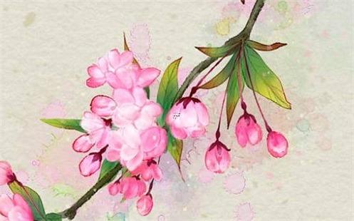 今天生肖最吉最旺 今天的最吉生肖