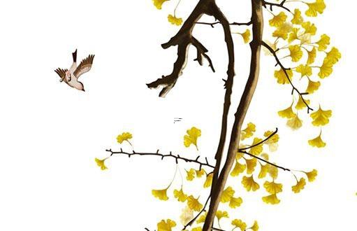 二婚姻緣是注定的嗎 二婚的緣分 二婚姻緣是注定的嗎 二婚的緣分