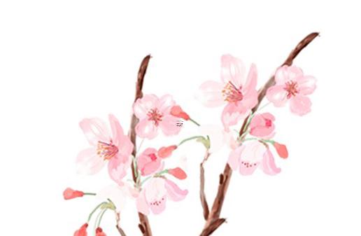 算命說(shuō)喝三家水什么意思 命理說(shuō)的喝三家水 算命說(shuō)喝三家水什么意思 命理說(shuō)的喝三家水