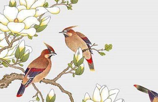 職場上總能展現出黑馬本色 贏在職場職場黑馬是怎樣煉成的