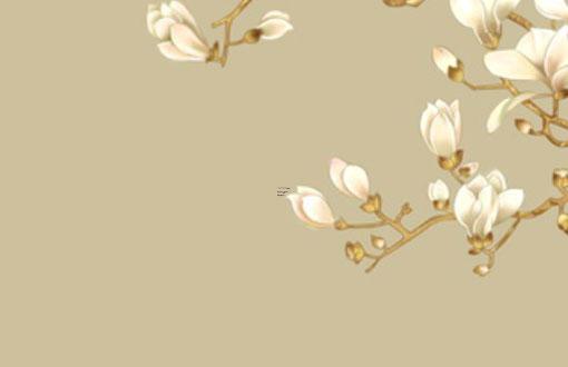 小貓抑郁癥有什么癥狀 小貓抑郁的癥狀