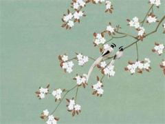 什么樣的生辰八字相克 生辰八字怎么相克