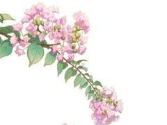 屬兔本命年戴什么轉(zhuǎn)運(yùn)石好呢,屬兔本命佛的佩戴禁忌