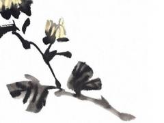 巨蟹座2023星座運勢如何,巨蟹座2023年必遭遇的劫難