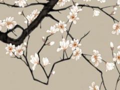 念三遍就馬上發(fā)偏財(cái)咒語一 想發(fā)偏財(cái)念什么咒語