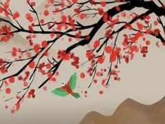 八字算命中中年指的是幾歲到幾歲之間 八字中中年是指多少歲