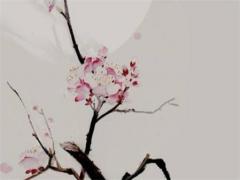 屬龍的和什么屬相合婚