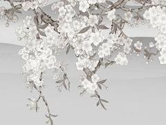 屬龍和屬牛婚配表 屬牛和龍結婚相配嗎